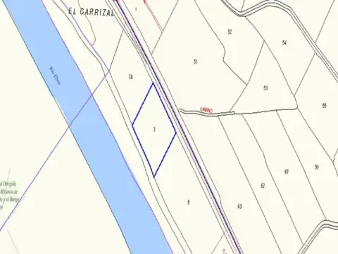 Finca rústica en Camino del Carrizal, nº SN